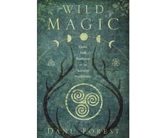 Wild Magic Knyga Llewellyn