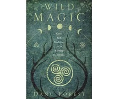 Wild Magic Knyga Llewellyn