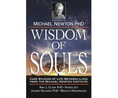 Wisdom Of Souls Knyga Llewellyn