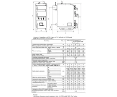 Kieto kuro katilas Altep NEUS-PRAKTIK 20kW
