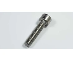 Modulio laikiklio varžtas Profiness A2 M8x35 mm