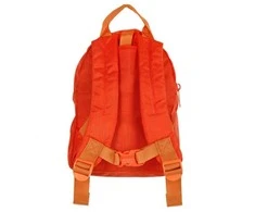 Vaikiška kuprinė Littlelife Lion Toddler Kuprinė