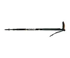Ėjimo lazda Fizan Classic - Juoda