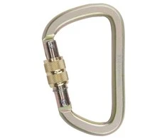 Protekt AZ017 D screw lock karabinas