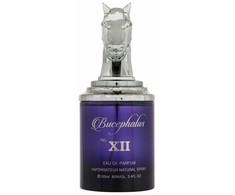 Armaf Bucephalus XII EDP parfumuotas vanduo unisex, 100 ml
