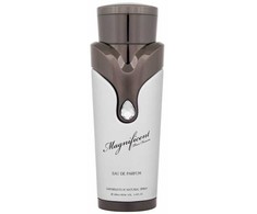 Armaf Magnificent EDP parfumuotas vanduo vyrams, 100 ml