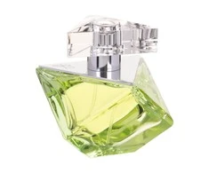 Kvepalai moterims Britney Spears Believe EDP, 30 ml