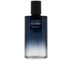 Davidoff Cool Vanduo Reborn EDT tualetinis vanduo vyrams, 75 ml