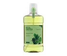 Ecodenta Mouthwash Daugiafunkcinis burnos skalavimo skystis 500ml