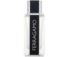 Kvepalai vyrams Ferragamo Ferragamo EDT, 100 ml