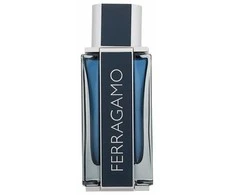 Salvatore Ferragamo Ferragamo Intense Leather EDP parfumuotas vanduo vyrams, 100 ml