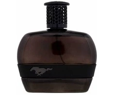 Ford Mustang Mustang Juodas EDT tualetinis vanduo vyrams, 100 ml