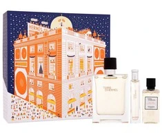 Hermes Terre d'Hermes EDT rinkinys vyrams (EDT 100 ml + Dušo želė 40 ml + EDT 15 ml)