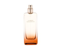 Hermès EDT 100 ml