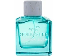 Hollister Canyon Rush tualetinio vandens purškiklis 100ml