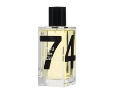 Iceberg Eau de Iceberg Pour Homme EDT tualetinis vanduo vyrams, 100 ml