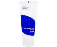 Isntree Hyaluronic Acid Moist Kreminis Day Kreminis