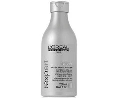 Plaukų šampūnas L'oreal Professionnel Sidabrinis, 500ml