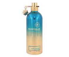 Montale Paris Montale Aoud Lagoon EDP parfumuotas vanduo unisex, 100 ml