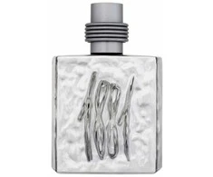 Nino Cerruti Cerruti 1881 Sidabrinis EDT tualetinis vanduo vyrams, 100 ml