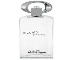 Salvatore Ferragamo Incanto pour Homme (Kvepalai vyrams) EDT 100ml