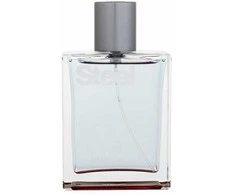 Victorinox Steel EDT tualetinis vanduo vyrams, 100 ml