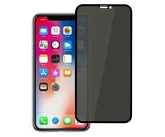 Reach LCD apsauginis stikliukas Full Privacy Apple iPhone 12 Pro Max juodas
