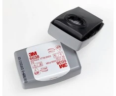 3M 6038 P3 dalelių filtras, 2 vnt.