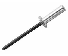 Kniedės atsparios vandeniui 4,8x14mm 50vnt + Drill C, Rapid