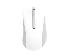 Asus Belaidė pelė | MD102 | Pelė | 2.4 GHz, Bluetooth | Baltas