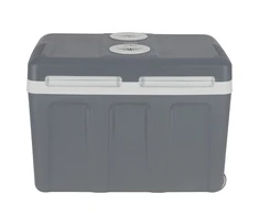 Adler Nešiojamas aušintuvas „Camry“ | CR 8093 | 40 l | 12 V | E