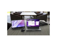Dell Tyli pelė - MS355