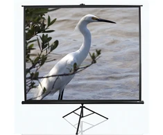 Elite Screens | su stovu Series | T120NWV1 | Įstrižainė 120" | 4:3 | Matomo vaizdo plotis (W) 244 cm | Baltas