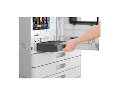Epson C12C937181 Maintenance Box (AM-C4000/5000/6000)