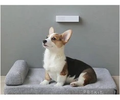 Kvapų neutralizatorius PETKIT PURA Air
