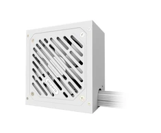Gigabyte PSU | GP-P650SS ICE GEU1 | 650 W | USED, REFURBISHED, MISSING MANUALS