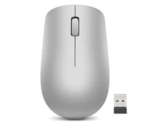 Lenovo | Belaidė pelė | 530 | Optinė pelė | 2.4 GHz Wireless via Nano USB | Platinos pilkas | 1 year(s)