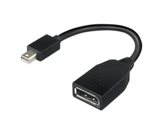 Lenovo | Mini-DisplayPort į DisplayPort adapteris | Mini-DisplayPort | DisplayPort