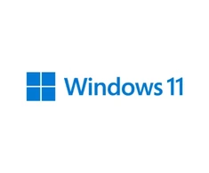 Microsoft WIN HOME N FPP 11 Online Product Key License 1 License Downloadable NR | KX3-00290 | All Languages | ESD | 64-bit