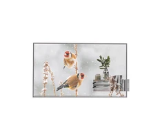 Monitorius LG | Digital Signage | 55EW5P | 55 " | Landscape/Portrait | 18/7 | webOS | 8 ms | 178 ° | Transparent | 178 ° | 600 cd/m²