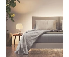 „Nanoleaf Essentials Smart A60“ lemputė „Matter WiFi“ 900 lm, 2700–6500 K, 4 vnt. pakuotė | E27 | 9 W | RGBCW