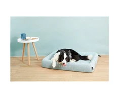 PETKIT All Season Sleep (B5-S) augintinio guolis, dydis S | P7110 S | Žalias