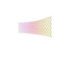 Philips Hue Festavia Net Lighting, 1 x 3.5 m, 250 LEDs, EU | Baltas and color | Bluetooth, Zigbee