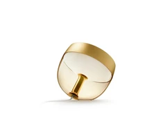 Philips Hue | Hue Iris Portable Lamp, Gold Special Edition | Gold | Portable lamp