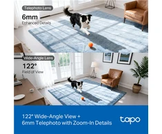 TP-Link Tapo C245D