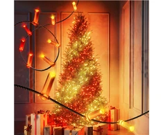 Kalėdinė girlianda Twinkly Candies 100 RGB LED USB- C, žalios spalvos laidas