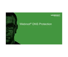 Webroot | DNS Protection with GSM Console | 2 year(s) | License quantity 10-99 user(s)