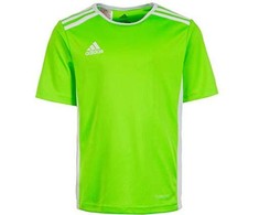 Adidas Entrada 18 CE9758 futbolo marškinėliai