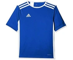 Marškinėliai vyrams Adidas Entrada 18 CF1037, mėlyni