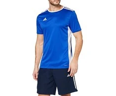 Marškinėliai vyrams Adidas Entrada 18 CF1037, mėlyni